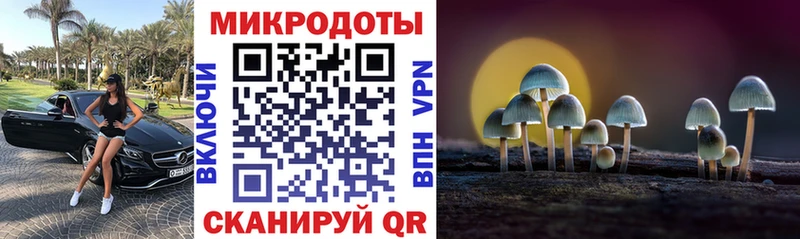 купить   Елец  Псилоцибиновые грибы GOLDEN TEACHER 
